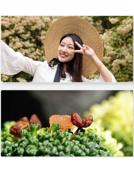 Obiektyw szerokokątny/macro 2w1 do aparatów SONY  Ulanzi WL-1