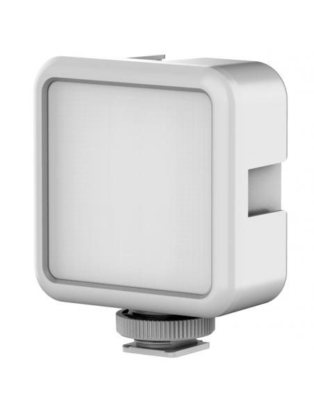 VL49 White
