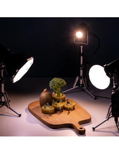 Lampa LED do Makrofotografii Ulanzi LT-24